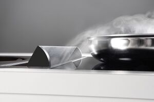 (Bron: Novy Nederland)